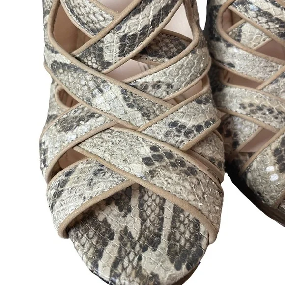 COACH, Alba, snakeskin,heels - Picture 6 of 8